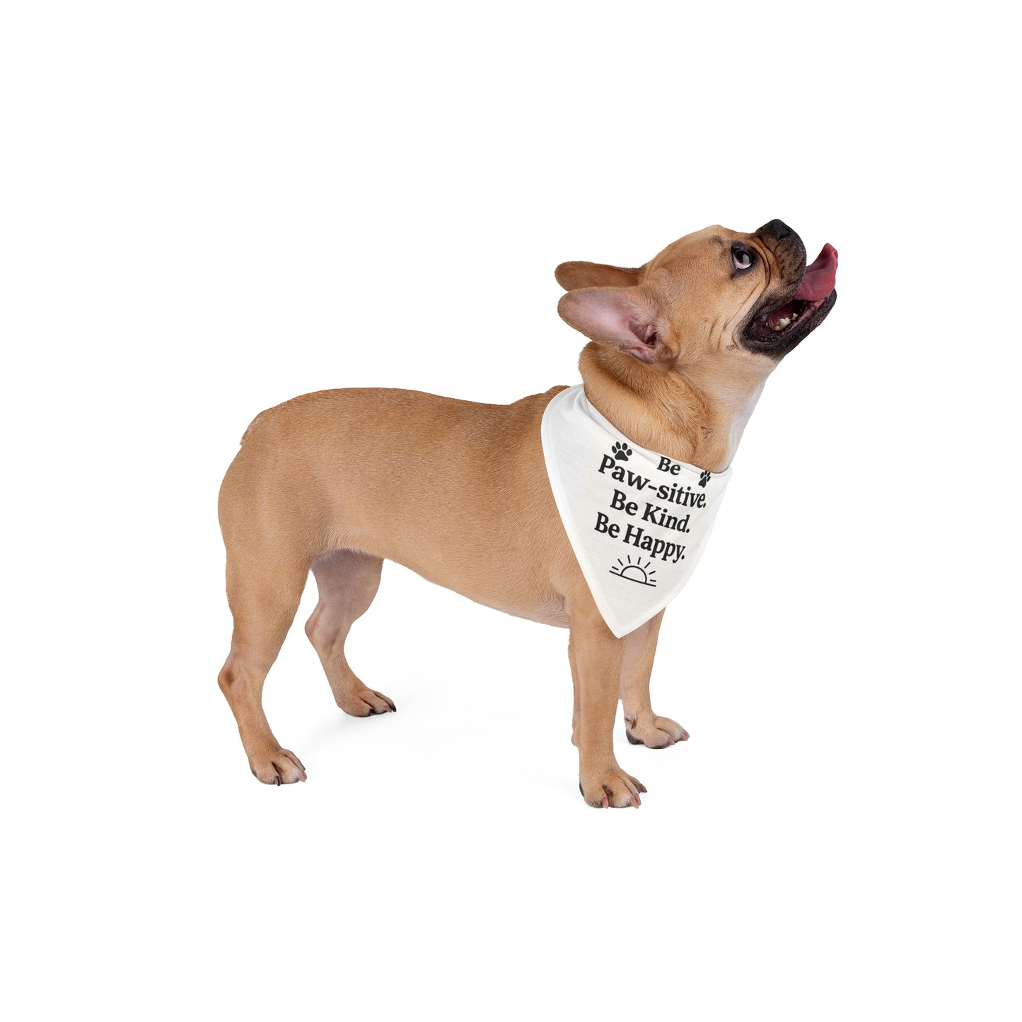 Pet Bandana – Be Paw-sitive, Be Kind, Be Happy